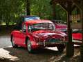 MG MGA 1500 Rood - thumbnail 2