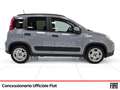 Fiat Panda 1.0 firefly hybrid s&s 70cv 5p.ti Gris - thumbnail 5