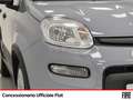 Fiat Panda 1.0 firefly hybrid s&s 70cv 5p.ti Gris - thumbnail 14