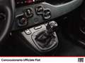 Fiat Panda 1.0 firefly hybrid s&s 70cv 5p.ti Gris - thumbnail 12