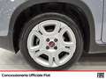 Fiat Panda 1.0 firefly hybrid s&s 70cv 5p.ti Gris - thumbnail 13