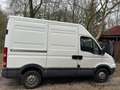 Iveco Daily 29 L 10 300 H1 EXPORT!!! Wit - thumbnail 3