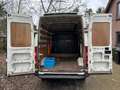 Iveco Daily 29 L 10 300 H1 EXPORT!!! Wit - thumbnail 9