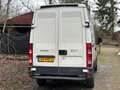 Iveco Daily 29 L 10 300 H1 EXPORT!!! Wit - thumbnail 5