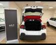 Citroen C3 1.2 PureTech Shine Bianco - thumbnail 13