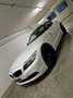 BMW Z4 sdrive23i Bianco - thumbnail 1