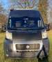 Fiat Ducato Ducato GR-Panorama 33 L2H2 150 Multijet Dangel Grau - thumbnail 3