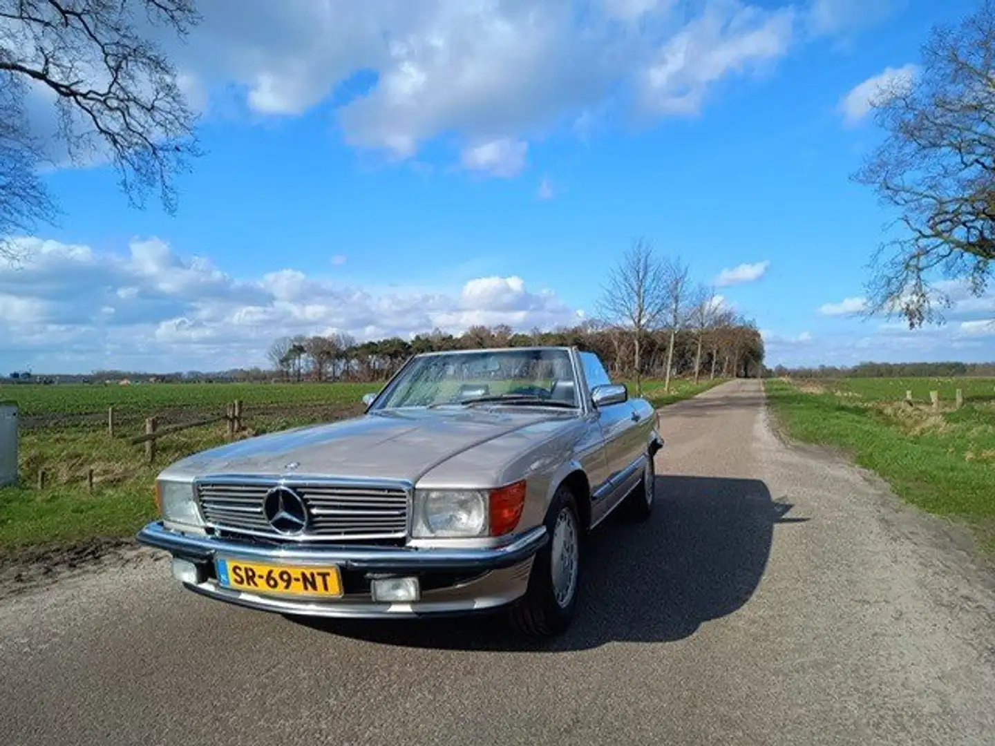 Mercedes-Benz SL 420 SL 420 R107 Срібний - 2