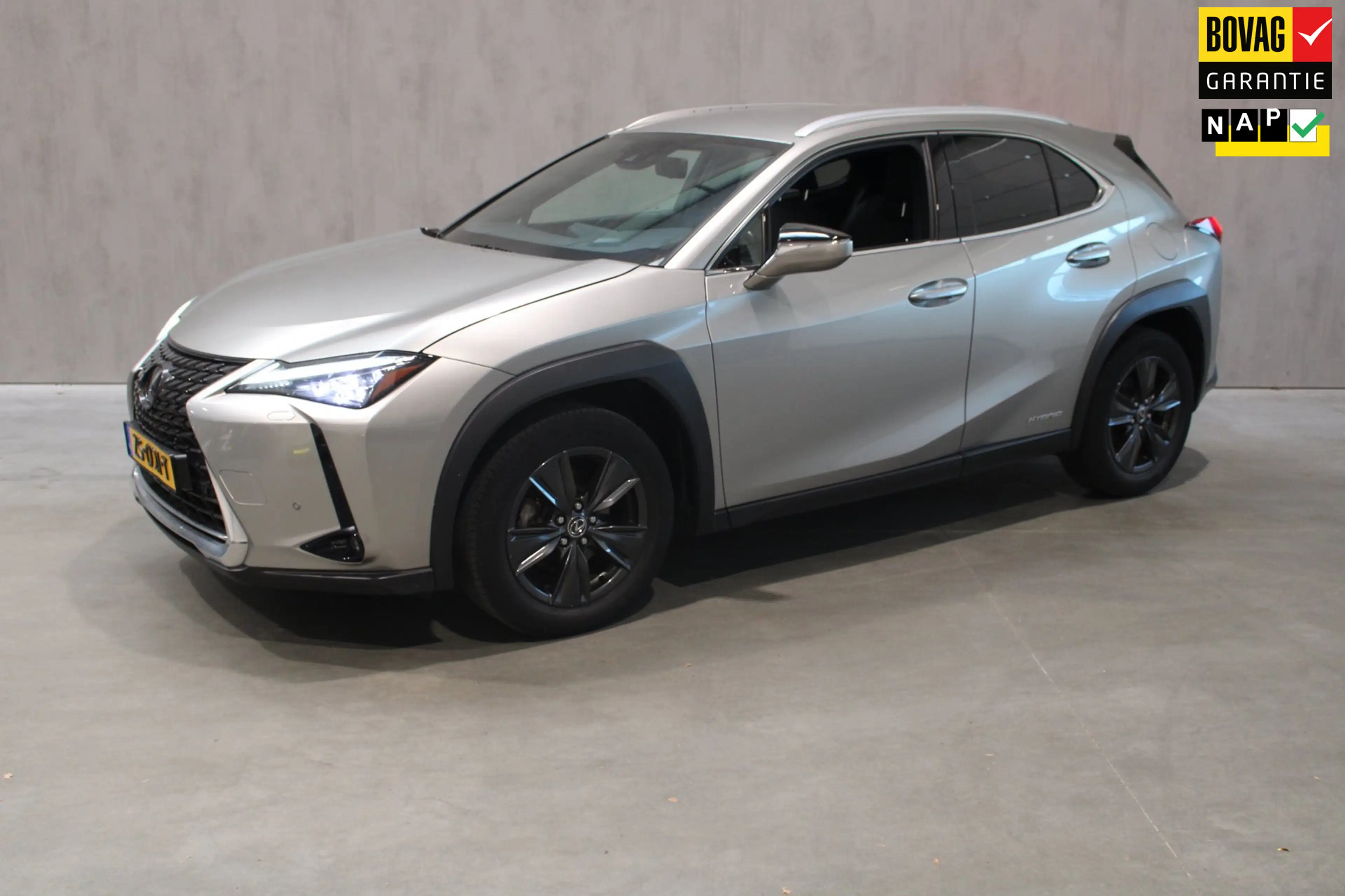 Lexus UX 250h First Edition Camera/Cruise/Prijs rijklaar incl 12
