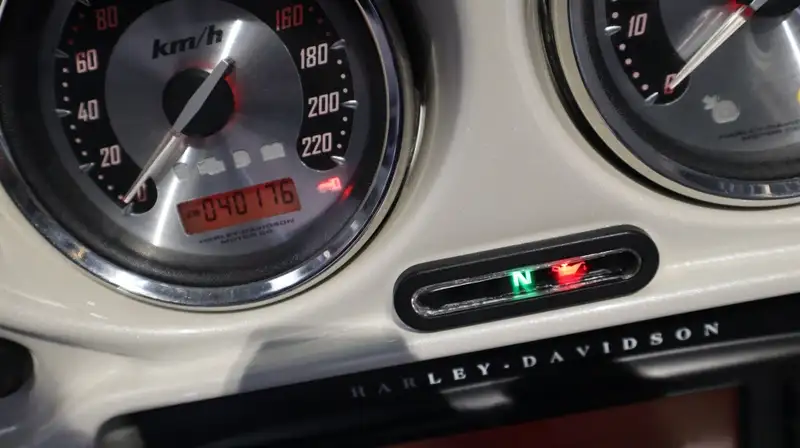 Harley-Davidson Chopper Electra - foto 6