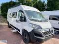 Forster V 599 HBL Livin' Up Sommer-Angebot - thumbnail 3