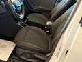 Ford Puma 1.5 EcoBLUE 120 cv. TITANIUM (Nav) Bianco - thumbnail 11