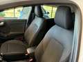 Ford Puma 1.5 EcoBLUE 120 cv. TITANIUM (Nav) Bianco - thumbnail 12