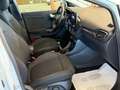 Ford Puma 1.5 EcoBLUE 120 cv. TITANIUM (Nav) Bianco - thumbnail 14