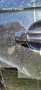 Audi Q7 3,0 TDI V6 quattro DPF Tiptronic - thumbnail 16