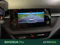 Skoda Fabia 1.0 tsi evo young edition 95cv Grigio - thumbnail 13