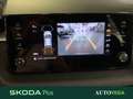 Skoda Fabia 1.0 tsi evo young edition 95cv Grigio - thumbnail 14