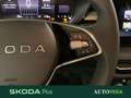 Skoda Fabia 1.0 tsi evo young edition 95cv Grigio - thumbnail 11