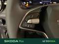 Skoda Fabia 1.0 tsi evo young edition 95cv Grigio - thumbnail 12