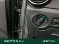 Skoda Fabia 1.0 tsi evo young edition 95cv Grigio - thumbnail 15