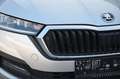 Skoda Octavia Ambition 4x4 DSG 2,0TDI 150PS "Allrad - Automatik" Silber - thumbnail 1