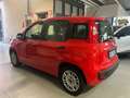 Fiat Panda Panda benzina 1.2 Lounge 69cv Rosso - thumbnail 4
