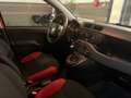 Fiat Panda Panda benzina 1.2 Lounge 69cv Rosso - thumbnail 6