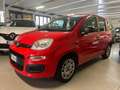 Fiat Panda Panda benzina 1.2 Lounge 69cv Rosso - thumbnail 1