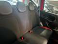 Fiat Panda Panda benzina 1.2 Lounge 69cv Rosso - thumbnail 9