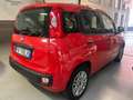 Fiat Panda Panda benzina 1.2 Lounge 69cv Rosso - thumbnail 3