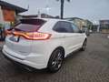Ford Edge Edge  2.0 tdci Sport s 4x4 Bianco - thumbnail 8