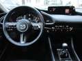 Mazda 3 Mazda3 Sedan e-Skyactiv G140 Exclusive-Line Rot - thumbnail 21