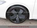 Volkswagen Passat Variant 2.0 TDI DSG R-line Weiß - thumbnail 16