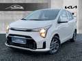 Kia Picanto 1.2 Vision NAVI APPS ALU Kamera Sitzheizung Beige - thumbnail 2