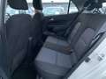 Kia Picanto 1.2 Vision NAVI APPS ALU Kamera Sitzheizung Beige - thumbnail 5