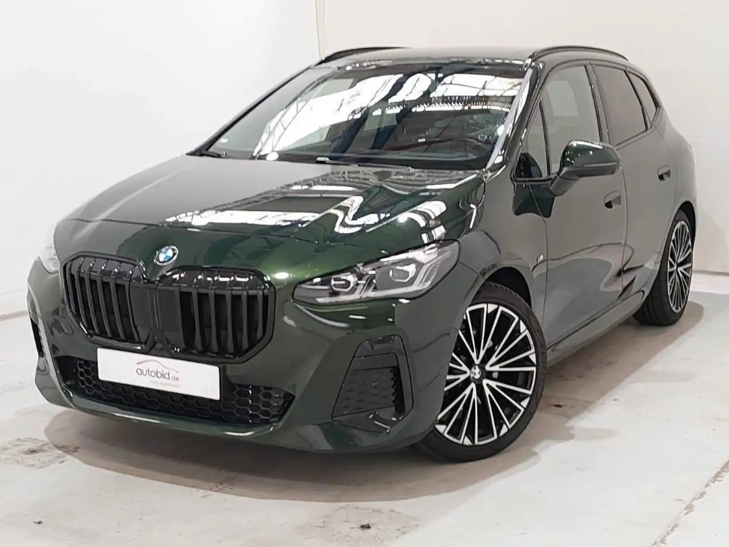 BMW 218 ACC AHK 3D KZU RFK MFL LED SHZ Grün - 2