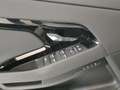 Land Rover Range Rover Evoque Range Rover Evoque 2.0D I4 163 CV AWD Auto S - IV Grigio - thumbnail 24