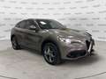 Alfa Romeo Stelvio 2.2 Turbodiesel 210 CV AT8 Q4 Super Oro - thumbnail 1