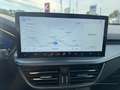 Ford Focus Turnier Active X 1.0EB*Mild-Hy.*Winter*Pano* Weiß - thumbnail 13