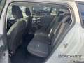 Ford Focus Turnier Active X 1.0EB*Mild-Hy.*Winter*Pano* Weiß - thumbnail 17