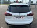 Ford Focus Turnier Active X 1.0EB*Mild-Hy.*Winter*Pano* Weiß - thumbnail 7
