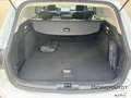 Ford Focus Turnier Active X 1.0EB*Mild-Hy.*Winter*Pano* Weiß - thumbnail 8