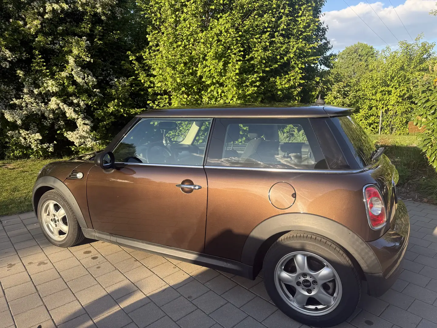 MINI One Pepper - 2