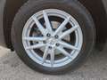 Hyundai TUCSON Tucson 1,6 CRDI 4WD 48V Trend Line Plus DCT Rot - thumbnail 23