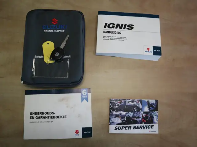 Suzuki Ignis view 22