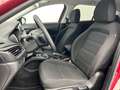 Fiat Tipo 1.4 LOUNGE PLUS 95CV 5P Rosso - thumbnail 24