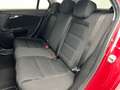 Fiat Tipo 1.4 LOUNGE PLUS 95CV 5P Rosso - thumbnail 25