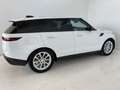 Land Rover Range Rover Sport 3.0D TD6 MHEV SE 249 Blanco - thumbnail 3