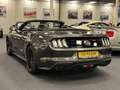 Ford Mustang USA Convertible 5.0i V8 GT Premium 450PK Automaat Grijs - thumbnail 11