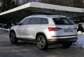 Skoda Kodiaq Kodiaq 1.4 TSI ACT Style /LED/Kamera Autom./Klima Argent - thumbnail 5